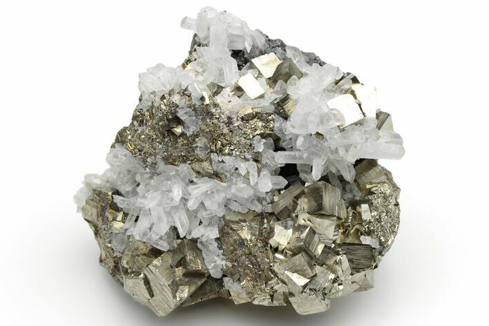 Gleaming Pyrite and Quartz on Sphalerite (Marmatite) - Peru #233412